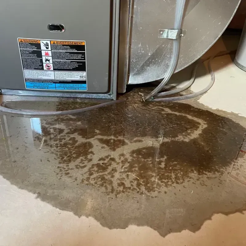 Appliance Leak Cleanup in Fall Branch, TN